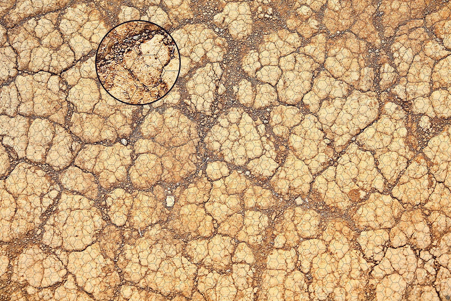 Product image 61